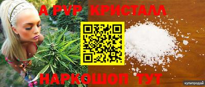 прущие крисы Кингисепп