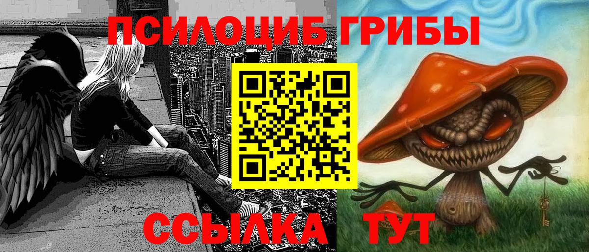 Псилоцибиновые грибы Psilocybe  Вход с VPN  Галлюциногенные грибы MAGIC MUSHROOMS  Коркино 